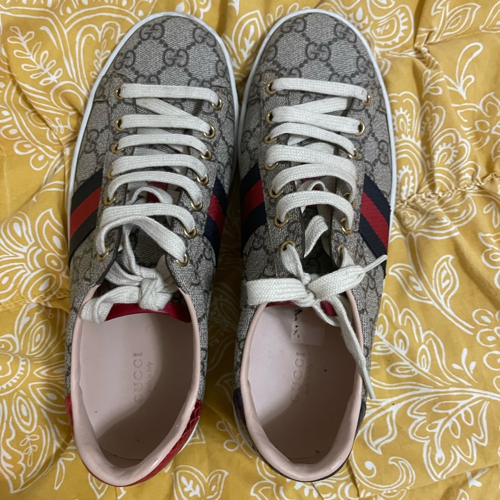 Authentic Gucci sneakers size 9 from Nordstroms  the soles are worn (see pics) - Picture 2 of 13